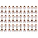 Dlite Polycarbonate Modern B22 Wall Bulb Holder Socket | 2 Amp Capacity | 220-240 Volt | Brass Quality | Indoor Outdoor Use White (Pack of 60)