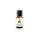 DVNO Patchouli Essential Oil |Pure, Natural & Undiluted Therapeutic Grade || Massage, Nourishment & Moisturization, Fine Lines & Wrinkles(10 ml)