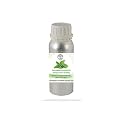 DVNO Patchouli Essential Oil ||Pure, Natural &amp; Undiluted Therapeutic Grade || Massage, Nourishment &amp; Moisturization, Fine Lines &amp; Wrinkles (100)