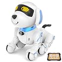 Dwi Dowellin Robot Dog Toy,Interactive Puppy Gesture Sensing Programmable