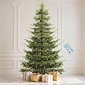 DWVO 7.5FT Prelit Iced Aspen Fir Artificial Christmas Tree with Remoter