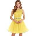 Dydsz Womens Scoop Appliques Homecoming Dress Short Cocktail Party Gown