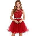 Dydsz Womens Scoop Appliques Homecoming Dress Short Cocktail Party Gown