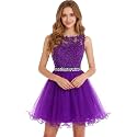 Dydsz Womens Scoop Appliques Homecoming Dress Short Cocktail Party Gown