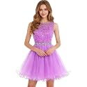 Dydsz Womens Scoop Appliques Homecoming Dress Short Cocktail Party Gown