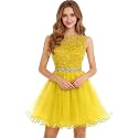 Dydsz Womens Scoop Appliques Homecoming Dress Short Cocktail Party Gown