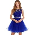 Dydsz Womens Scoop Appliques Homecoming Dress Short Cocktail Party Gown