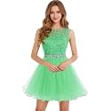 Dydsz Womens Scoop Appliques Homecoming Dress Short Cocktail Party Gown