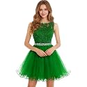 Dydsz Womens Scoop Appliques Homecoming Dress Short Cocktail Party Gown