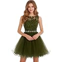 Dydsz Womens Scoop Appliques Homecoming Dress Short Cocktail Party Gown