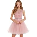 Dydsz Womens Scoop Appliques Homecoming Dress Short Cocktail Party Gown
