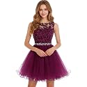 Dydsz Womens Scoop Appliques Homecoming Dress Short Cocktail Party Gown