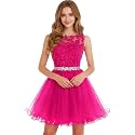 Dydsz Womens Scoop Appliques Homecoming Dress Short Cocktail Party Gown