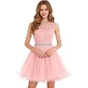 Dydsz Womens Scoop Appliques Homecoming Dress Short Cocktail Party Gown