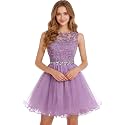 Dydsz Womens Scoop Appliques Homecoming Dress Short Cocktail Party Gown