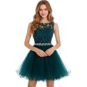 Dydsz Womens Scoop Appliques Homecoming Dress Short Cocktail Party Gown