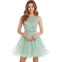 Dydsz Womens Scoop Appliques Homecoming Dress Short Cocktail Party Gown