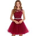 Dydsz Womens Scoop Appliques Homecoming Dress Short Cocktail Party Gown