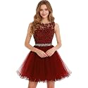 Dydsz Womens Scoop Appliques Homecoming Dress Short Cocktail Party Gown