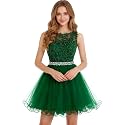 Dydsz Womens Scoop Appliques Homecoming Dress Short Cocktail Party Gown