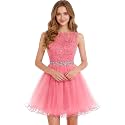 Dydsz Womens Scoop Appliques Homecoming Dress Short Cocktail Party Gown