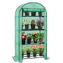 EAGLE PEAK Mini Greenhouse for Indoor Outdoor, 32x18x63 in, Clear/Green PE