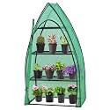 EAGLE PEAK Mini Greenhouse for Indoor Outdoor, 35x18x63 in, Clear/Green PE