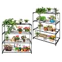 EAGLE PEAK Greenhouse Shelving Staging Double 4 Tier, Outdoor / Indoor Plant Shelves, 42"x17"x42", Green
