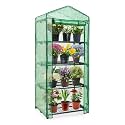 EAGLE PEAK Mini Greenhouse for Indoor Outdoor, 27x19x64 in, Clear/Green PE