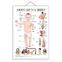 Early Learning Educational Charts for Kids (Parts of The Body) (Parts of The Body)