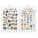 Early Learning Educational Charts for Kids (Wild Animals) (Wild Animals and Marathi Varnamala)
