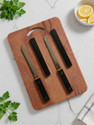 Earth 2 Pic Japanis Kitchen Knife With