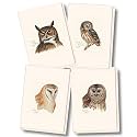 Earth Sky + Water - Peterson's Owl Assortment Notecard Set - 8 Blank Cards with Envelopes (2 each of 4 styles)