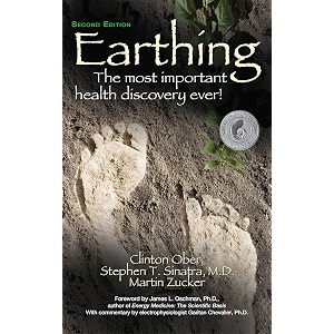 earthing 2nd edition the most important health discovery ever