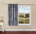 EASETENSIL 152 cm 5 ft Window Polyester