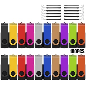 2gb 20 usb flash drive 100-pack thumb drives bulk with lanyards