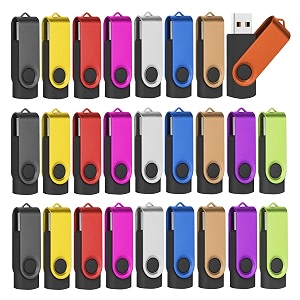 1gb 20 usb flash drive 100-pack thumb drives bulk with lanyards