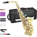 EASTROCK E Flat Alto Saxophone Gold Alto Sax for Beginners and Students