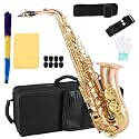 EASTROCK E Flat Alto Saxophone Black Nickel/Gold for Beginners and Students