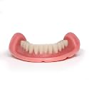 Easy Denture: Boil-&amp;-Bite Functional Denture, Self-fit at Home in Mins, Adjusts for Narrow or Wide Arches, Long-term or temporary Solution, Eat, Drink and Smile Confidently, Small/Med Denture, Lower