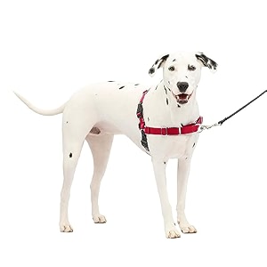 easy walk harness mlred
