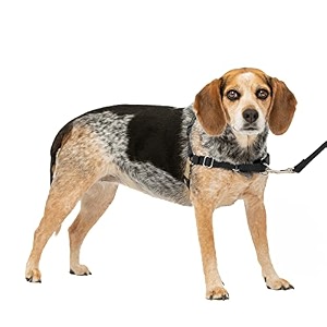 easy walk harness smblack