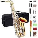 Eb Alto Saxophone - Beginner & Adult, Gold & Silver Finish