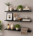 Eco Handicrafts Modern Wall Mounted Floating Shelf