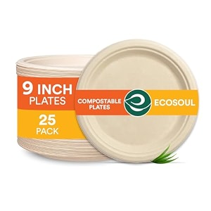 eco soul  disposable bagasse plates  9 inch - pack of 25  compostable eco-friendly disposable plates big size for snacks lunch amp meals  durable microwave amp freezer safe