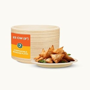 eco soul  disposable bagasse plates  9 inch - pack of 10  eco-friendly disposable plates big size for snacking amp everyday use  sturdy microwave safe leak-resistant plant-based tableware