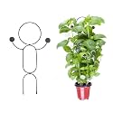 Ecofynd 16 Inch Trellis for Climbing Plants