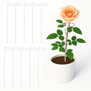 ecofynd 18 inches metal trellis for plants pack of 10  single stem flower plant support  garden climbing plant trellis for amaryllis orchid lily rose tomatoes
