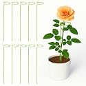 ecofynd 18 Inches Metal Trellis for Plants (Light Green, Pack of 10), Single Stem Flower Plant Support, Garden Climbing Plant Trellis for Amaryllis, Orchid, Lily, Rose, Tomatoes (TR003)