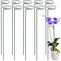 ecofynd 18 inches Metal Trellis for Plants, Pack of 10 | Single Stem Flower Plant Support | Garden Climbing Plant Trellis for Amaryllis Orchid Lily Rose Tomatoes